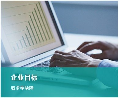 企业目标